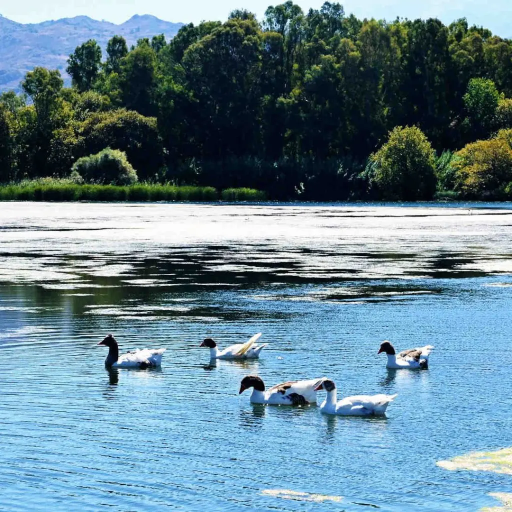 Lake Agia - photo 6