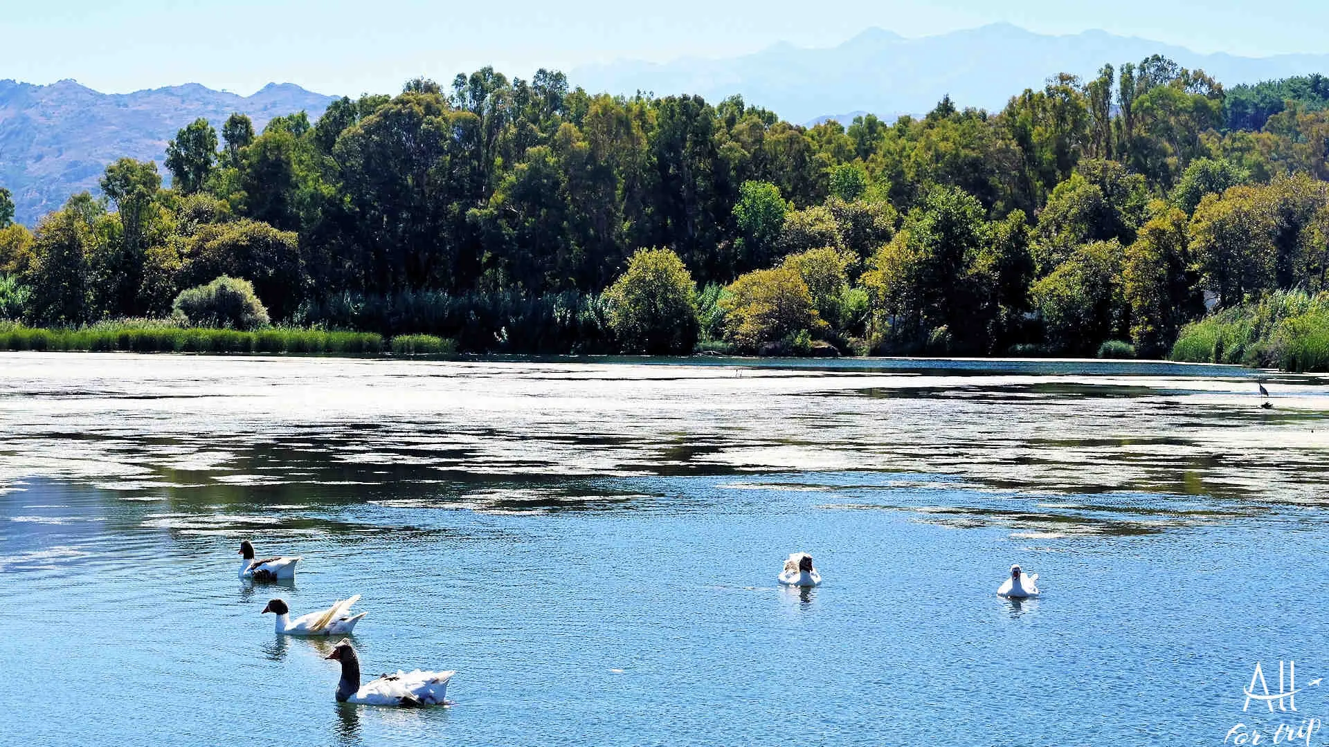 Lake Agia - photo 24