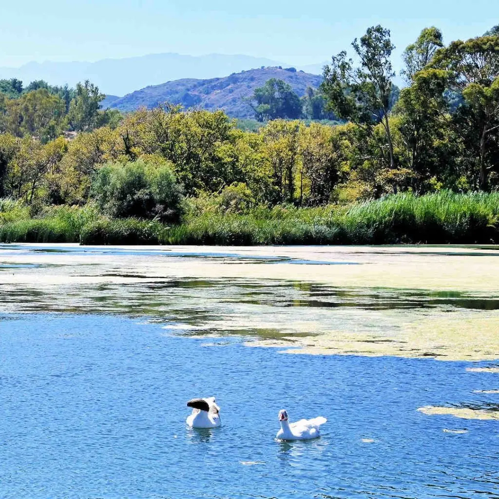 Lake Agia - photo 7