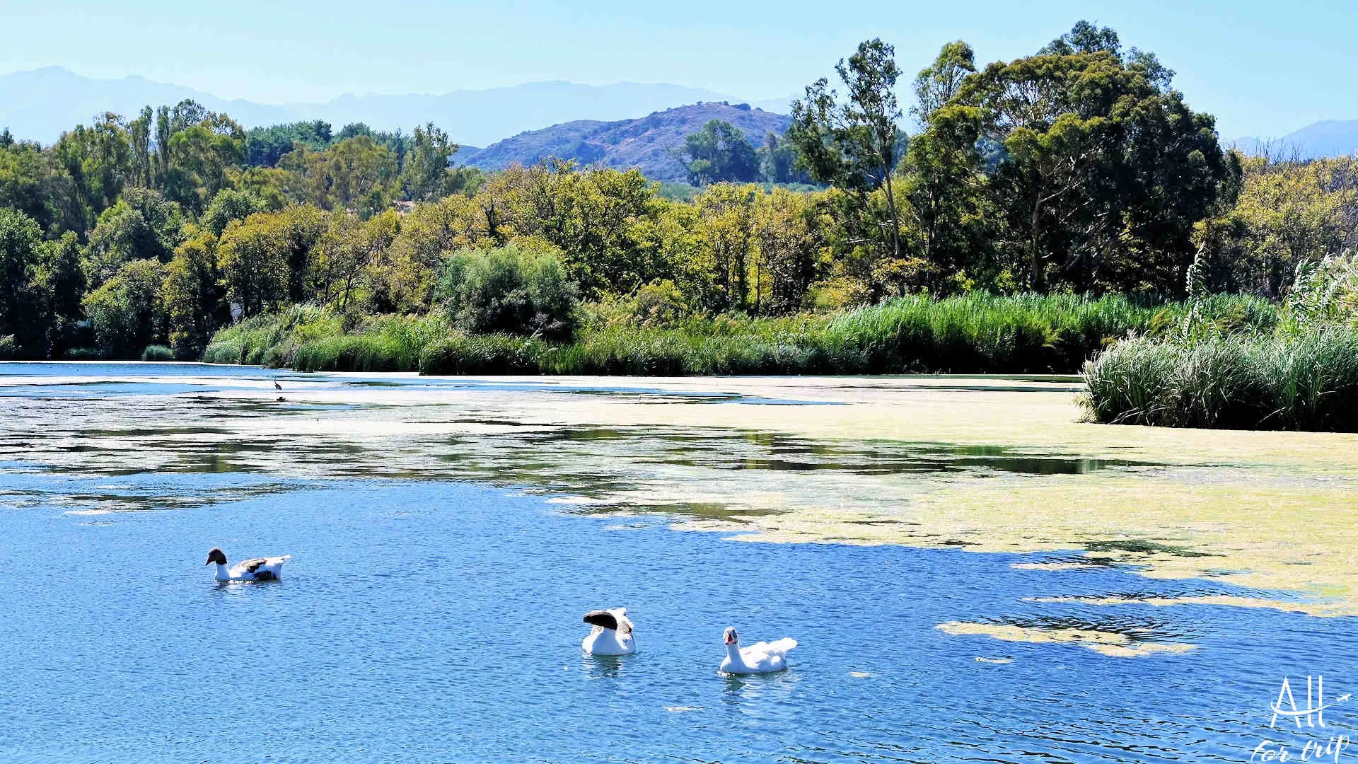 Lake Agia - photo 7