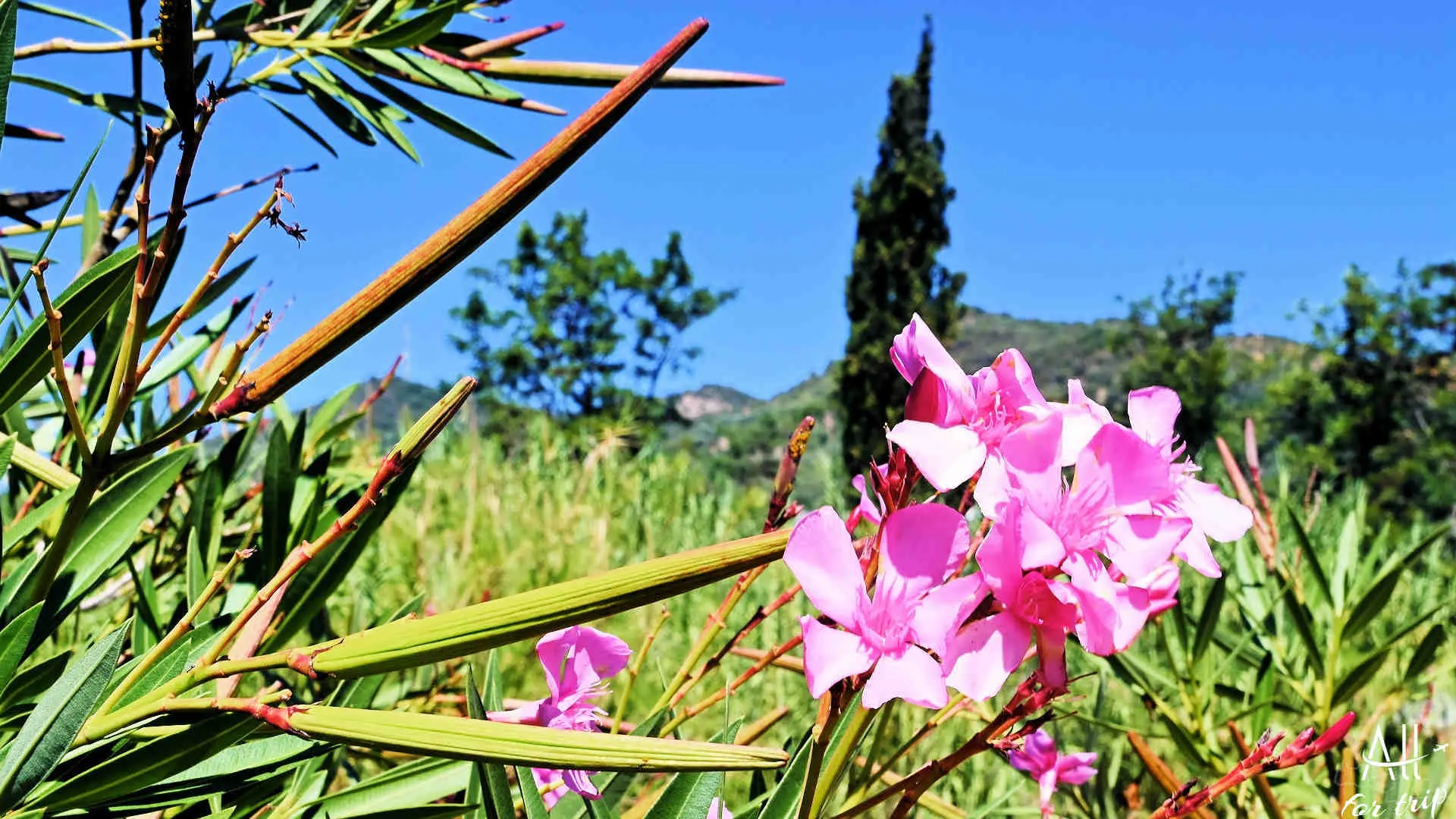 Lake Agia - photo 26