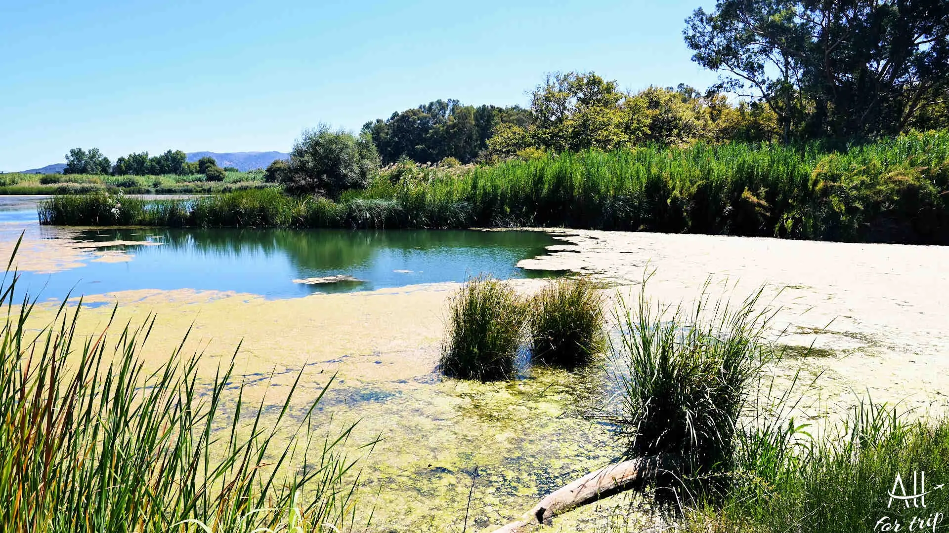 Lake Agia - photo 9