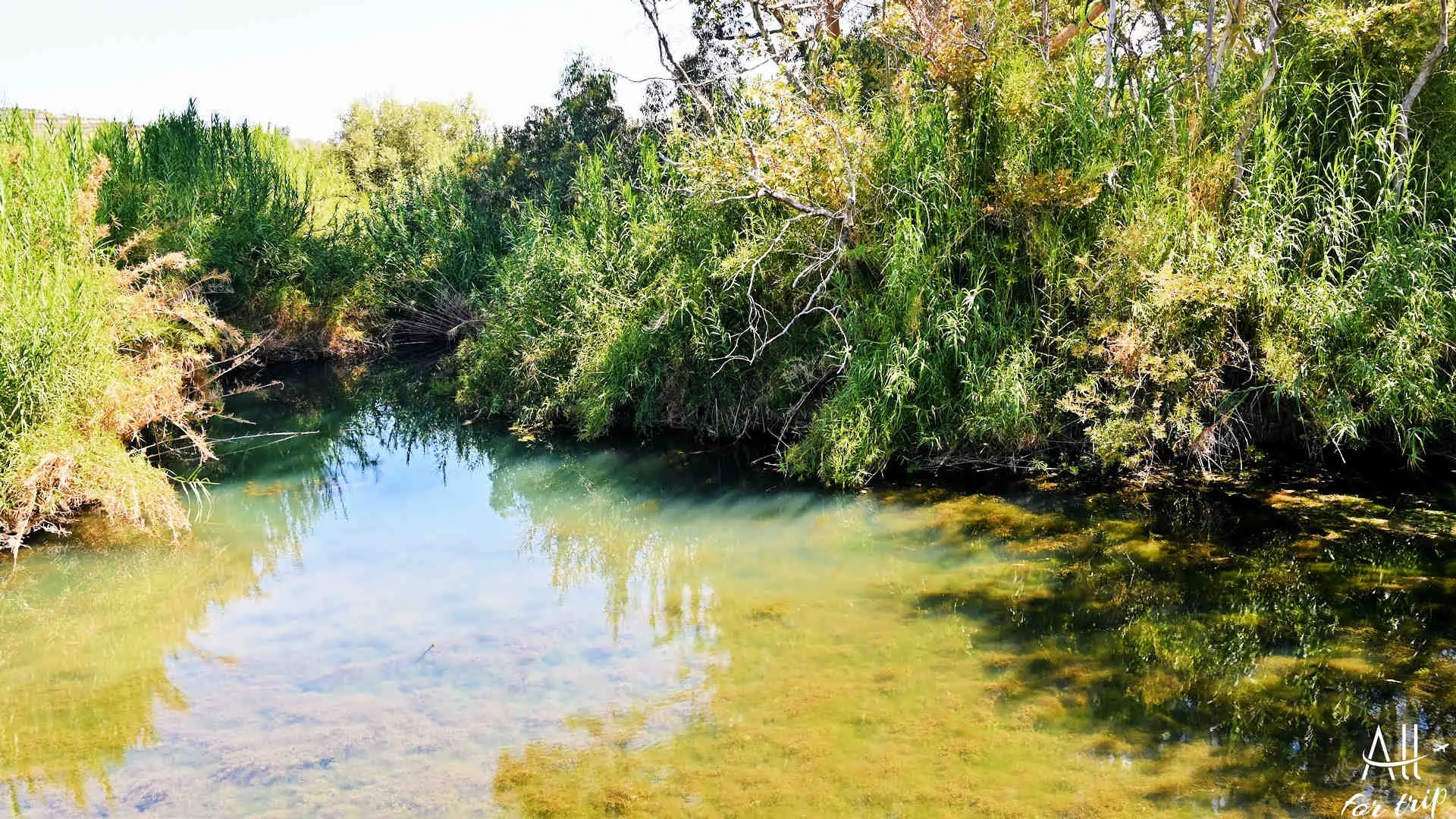 Lake Agia - photo 11