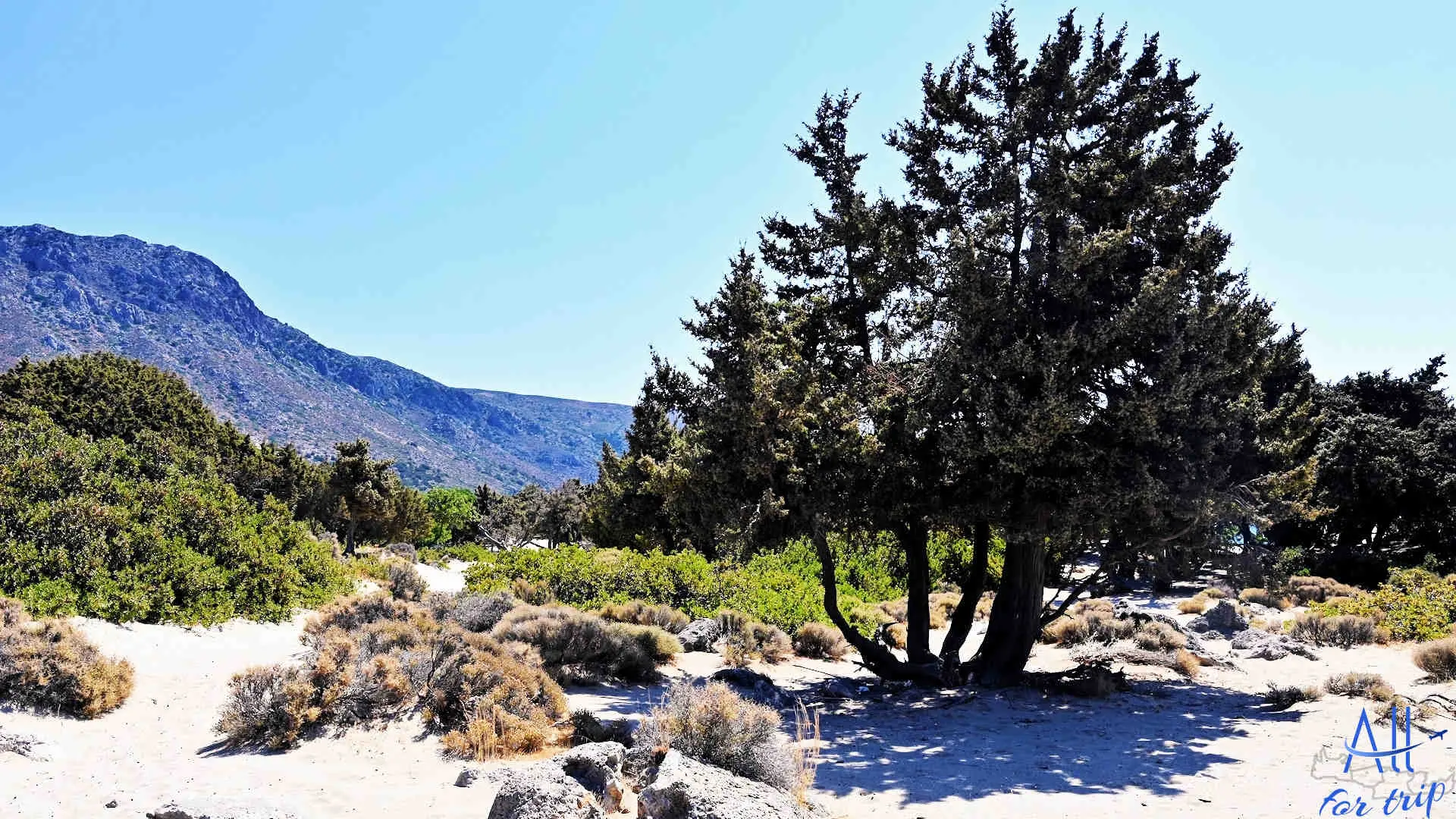 KEDRODASOS BEACH - photo 5