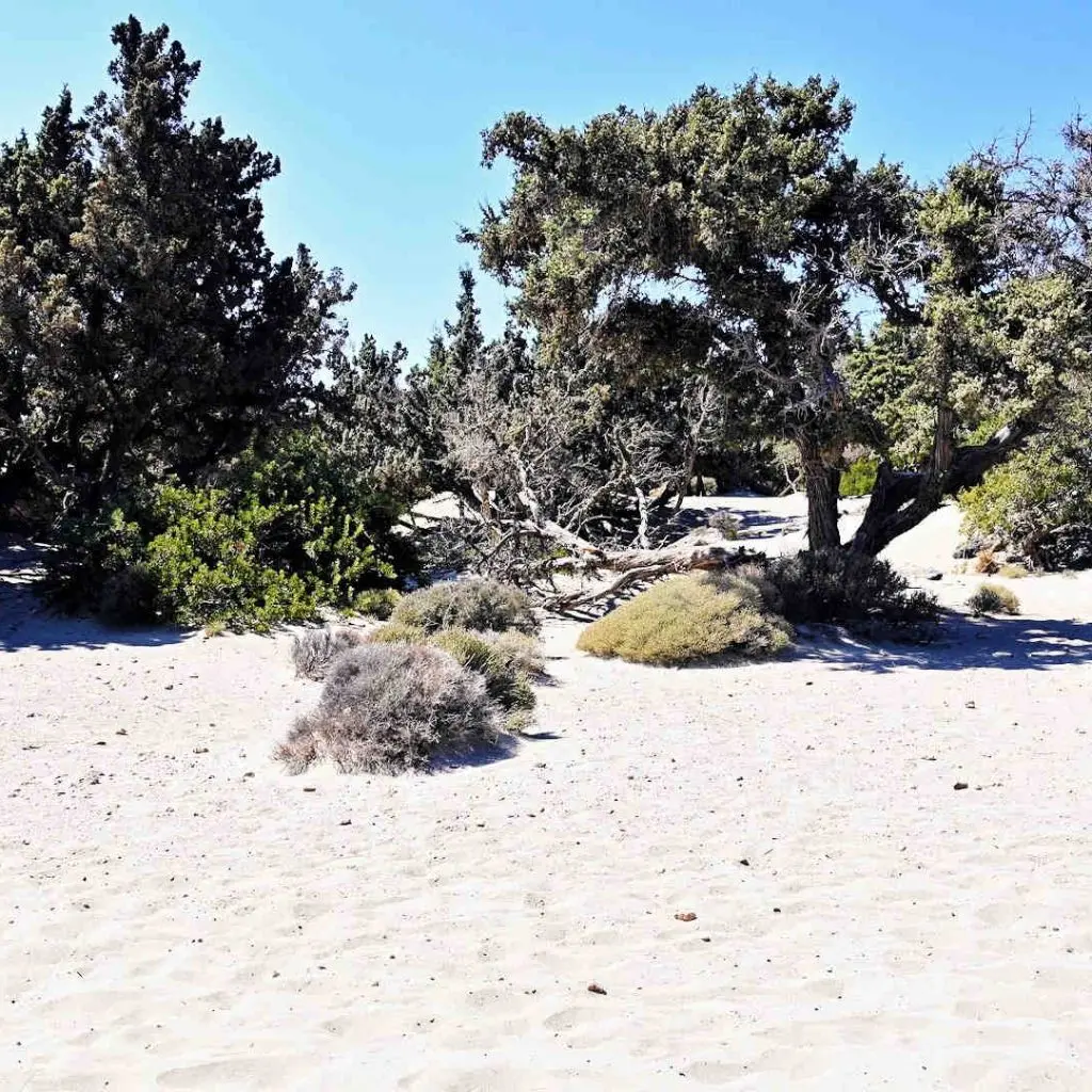 KEDRODASOS BEACH - photo 9
