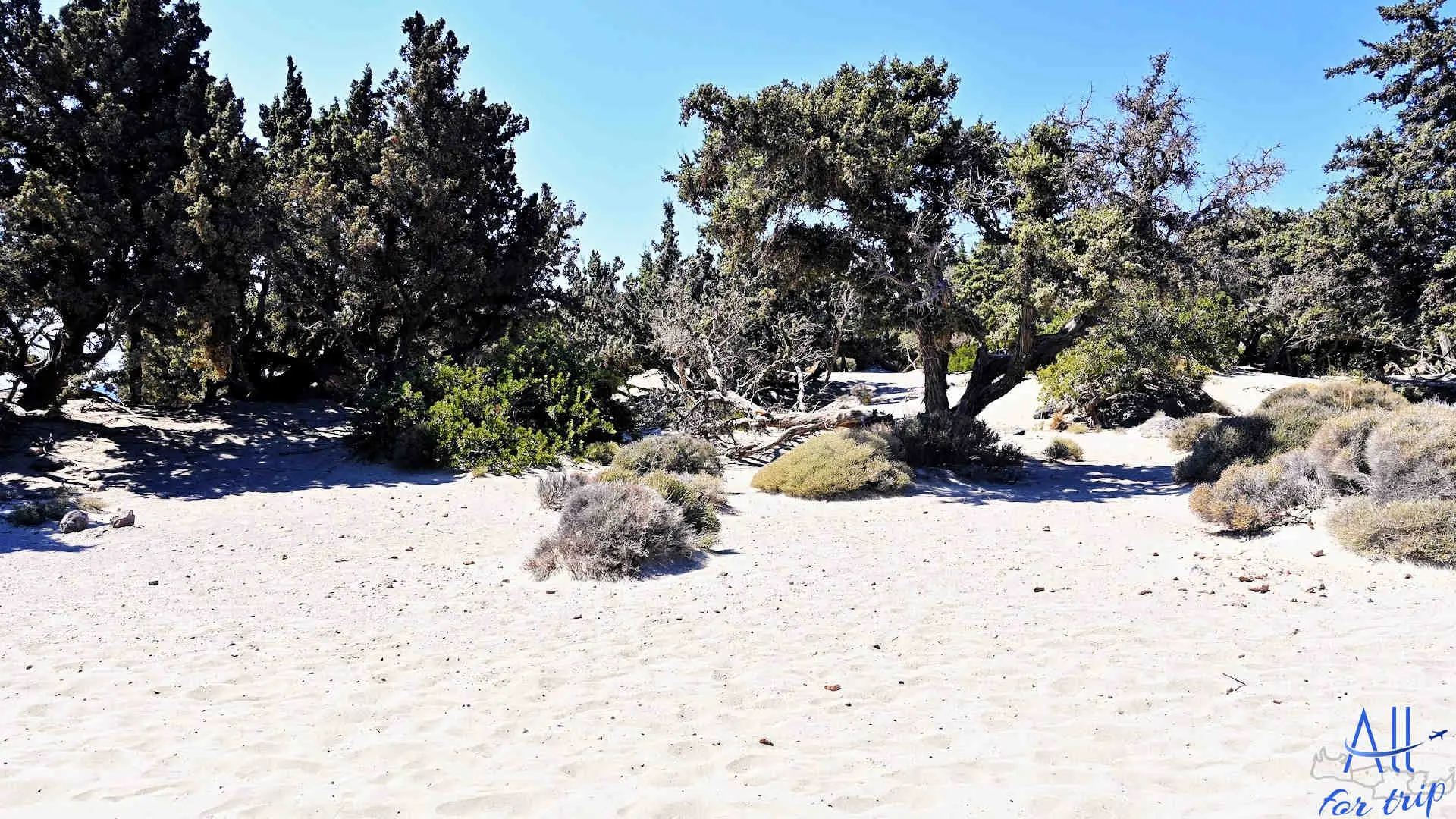 KEDRODASOS BEACH - photo 9