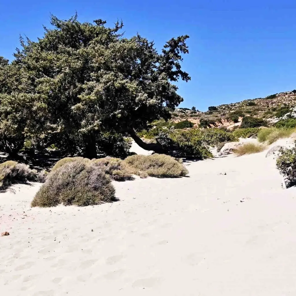 KEDRODASOS BEACH - photo 11