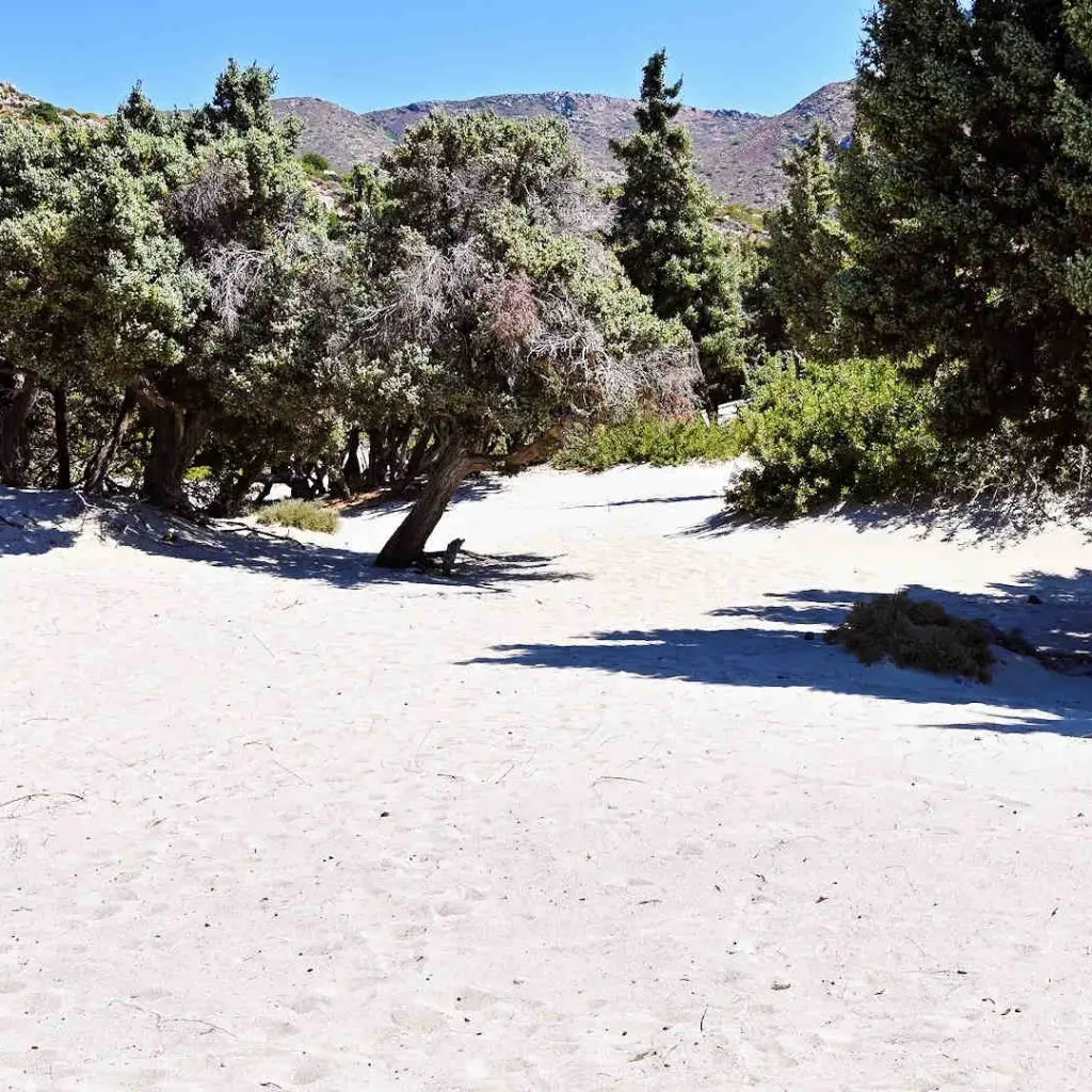 KEDRODASOS BEACH - photo 12