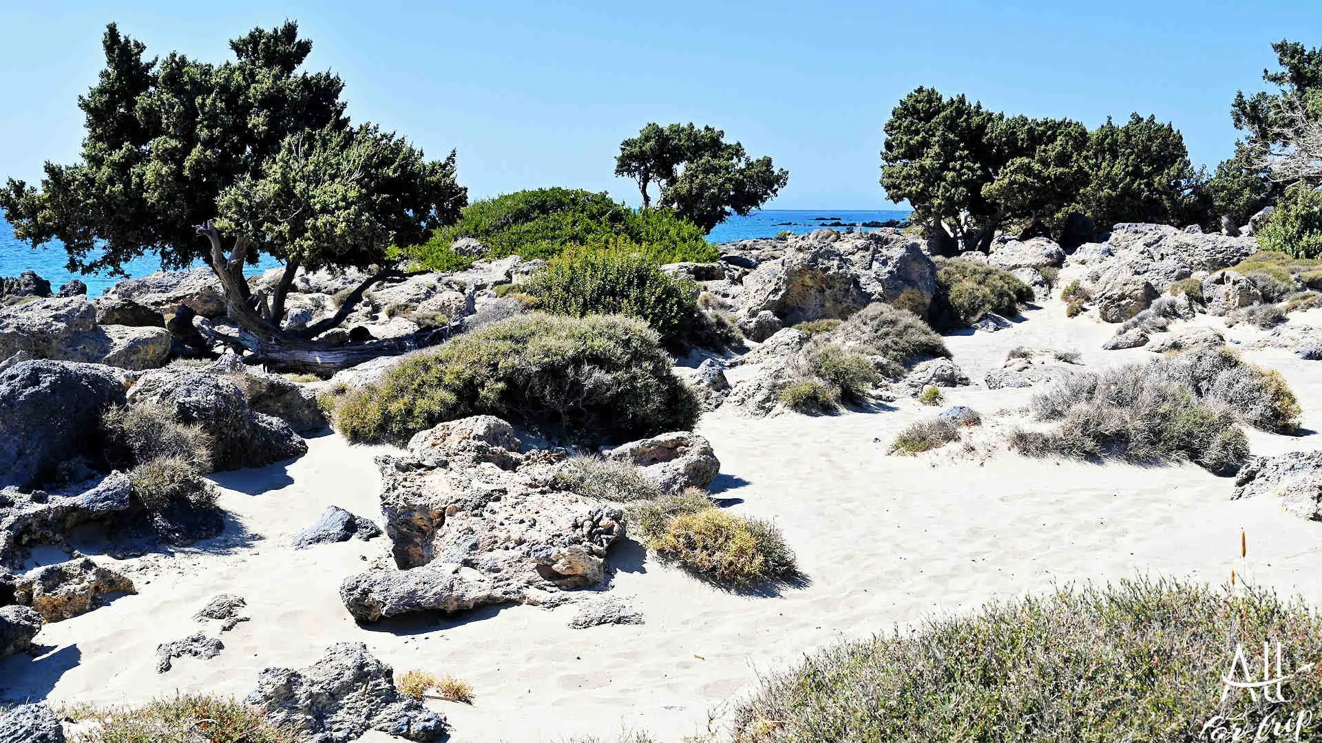 KEDRODASOS BEACH - photo 36