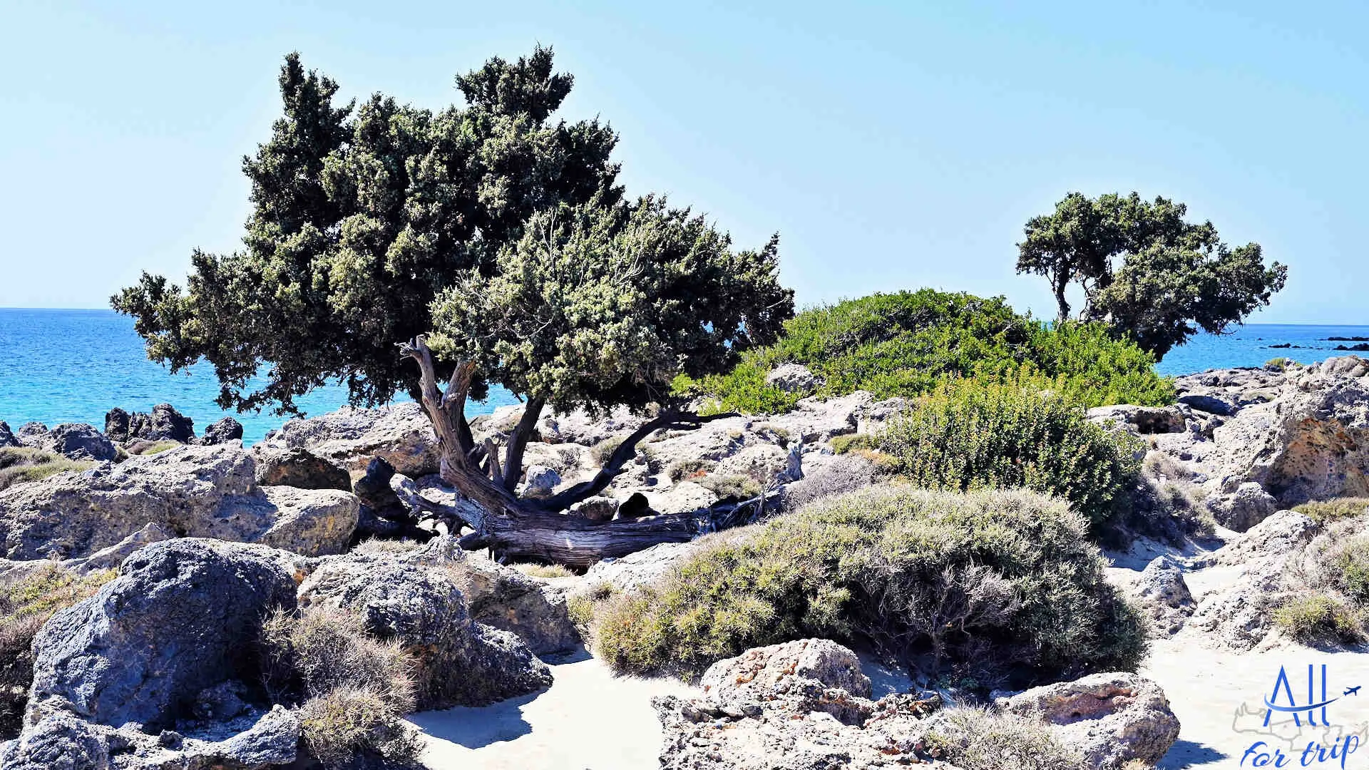 KEDRODASOS BEACH - photo 38
