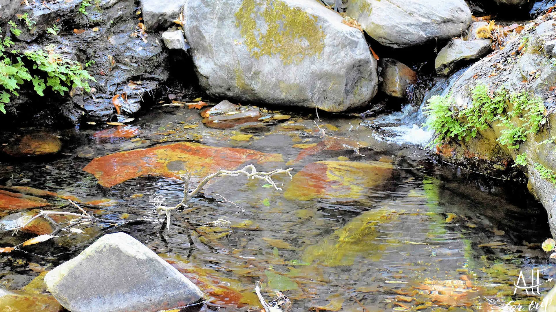 Waterfall of Polyrrhenia - photo 28