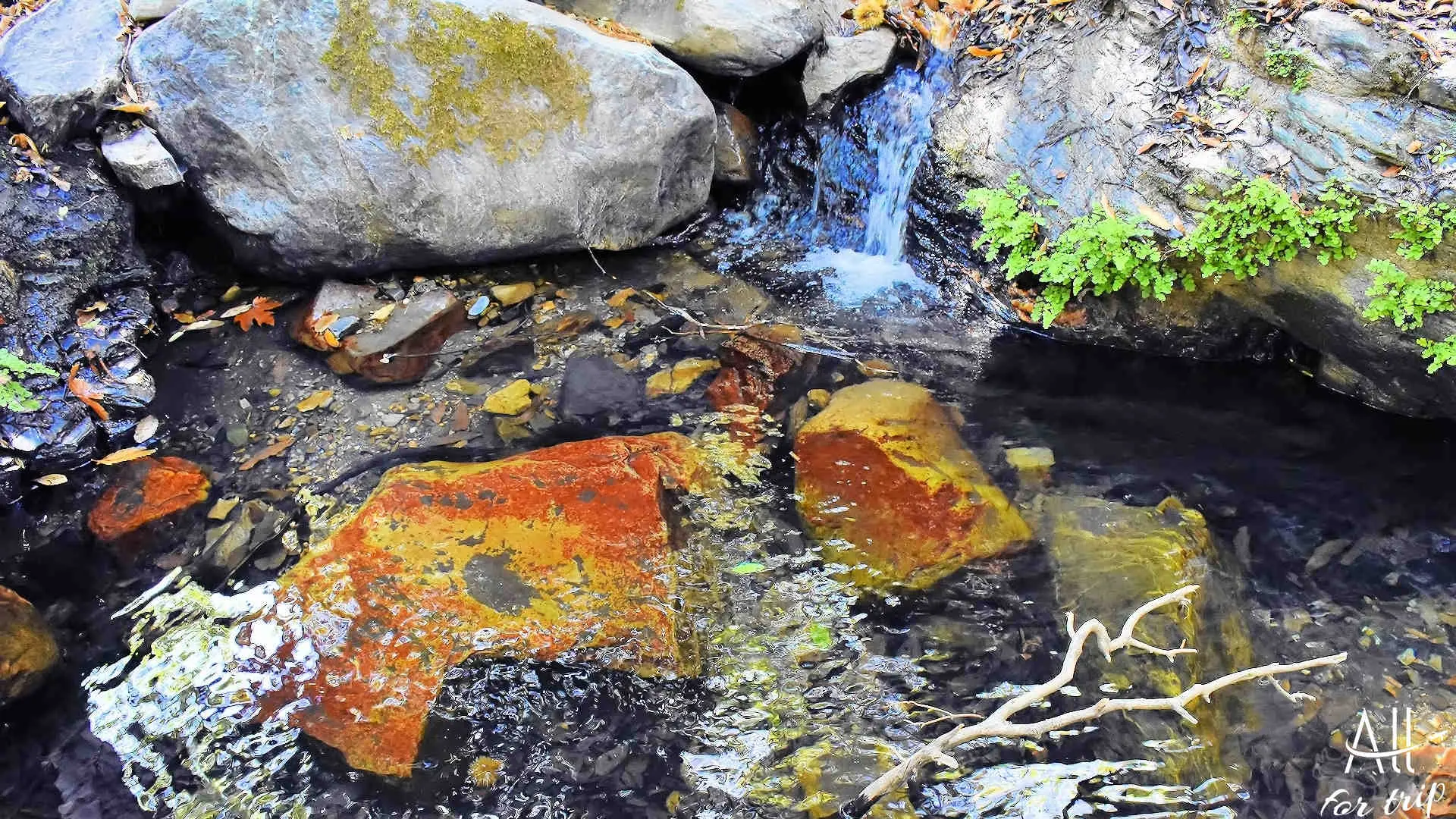 Waterfall of Polyrrhenia - photo 29