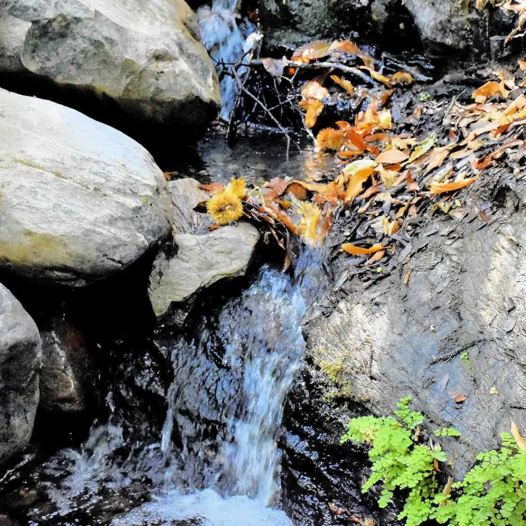 Waterfall of Polyrrhenia - photo 12