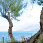 NOPIGIA BEACH