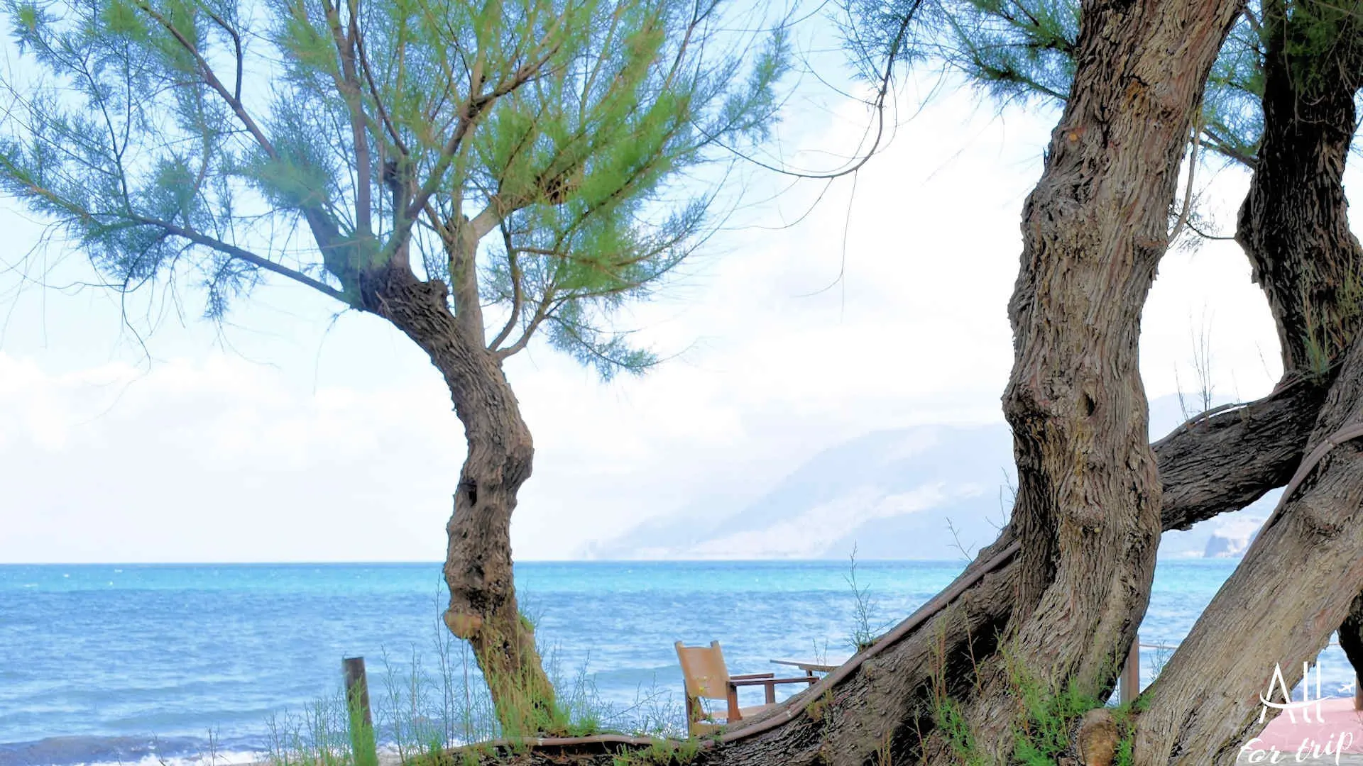 NOPIGIA BEACH