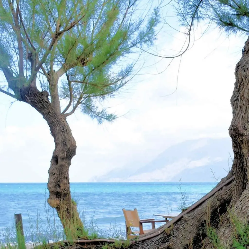 NOPIGIA BEACH - photo 4