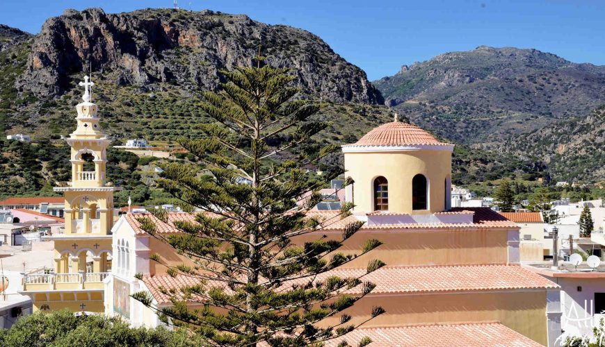 PALAIOCHORA