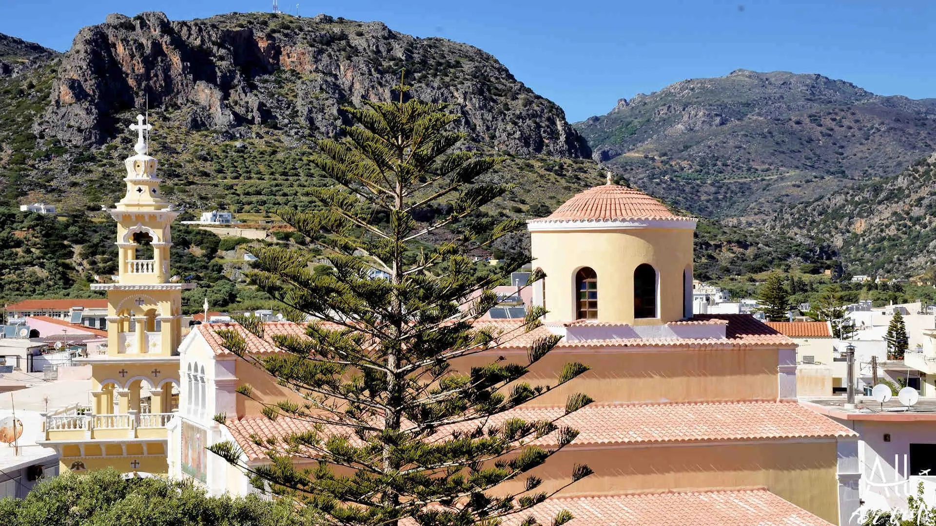 PALAIOCHORA