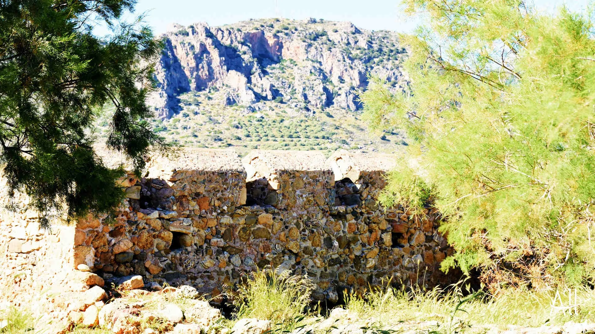 PALAIOCHORA - photo 15