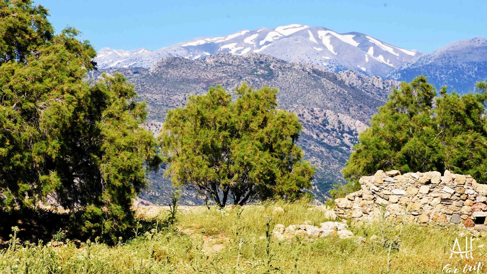 PALAIOCHORA - photo 21