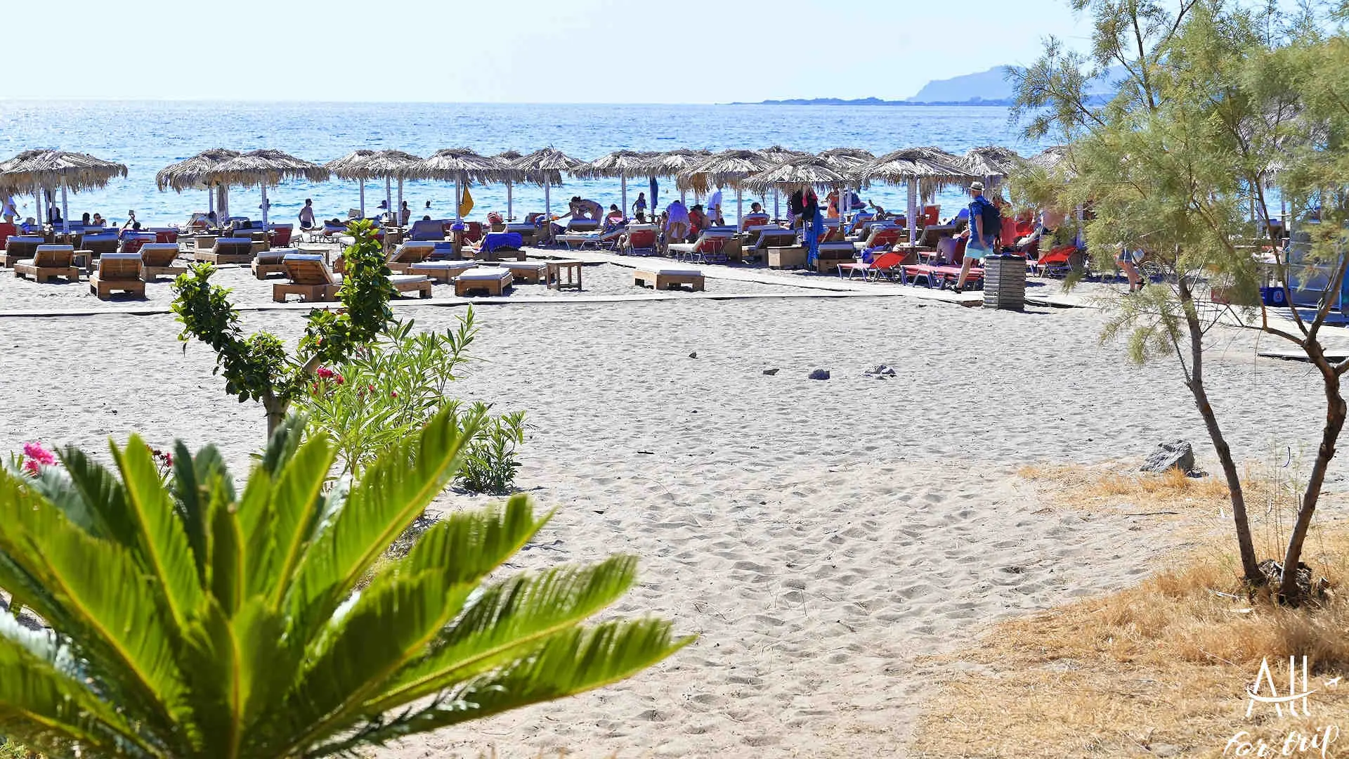 PALAIOCHORA PACHIA AMMOS BEACH - photo 4
