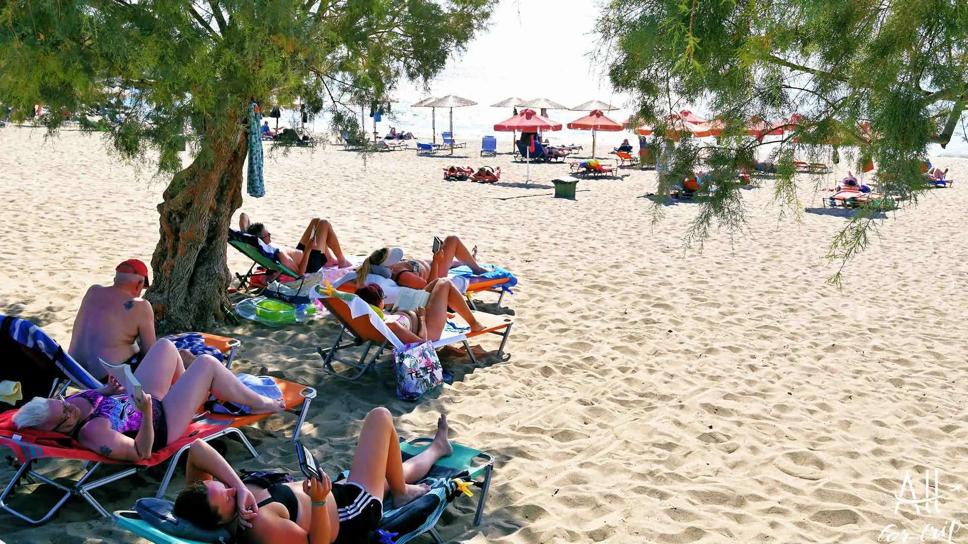 PALAIOCHORA PACHIA AMMOS BEACH - photo 18