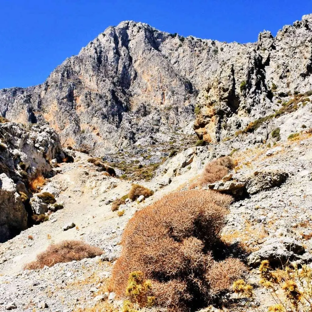 KOURTALIOTIS GORGE - KOURTALIOTIKO GORGE - photo 2