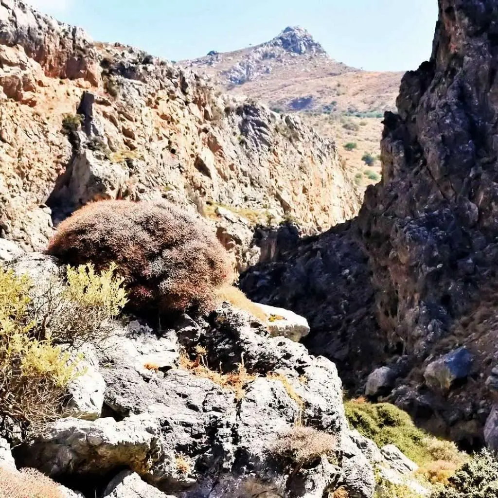 KOURTALIOTIS GORGE - KOURTALIOTIKO GORGE - photo 4