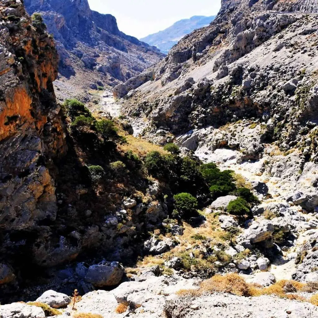 KOURTALIOTIS GORGE - KOURTALIOTIKO GORGE - photo 16